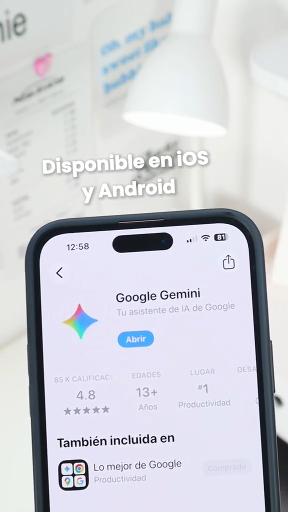 Gemini AI App